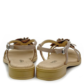 Босоножки женские Nero Giardini 615901 Fb